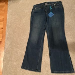 Ann Taylor Curvy Fit Jeans 8P Lightly Worn